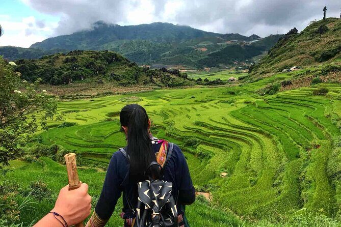 Sleeper Bus Hanoi to Sapa - Who Will Love This Experience?