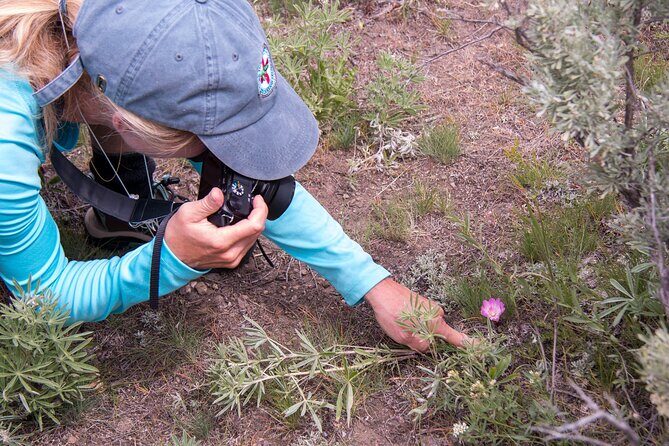 Slough Creek Naturalist Day Hike - An In-Depth Look at the Slough Creek Naturalist Day Hike