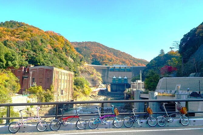 Slow Cycling Tour at Uji's Matcha Green Tea Fields and Heritage - An In-Depth Look at the Uji Slow Cycling Tour