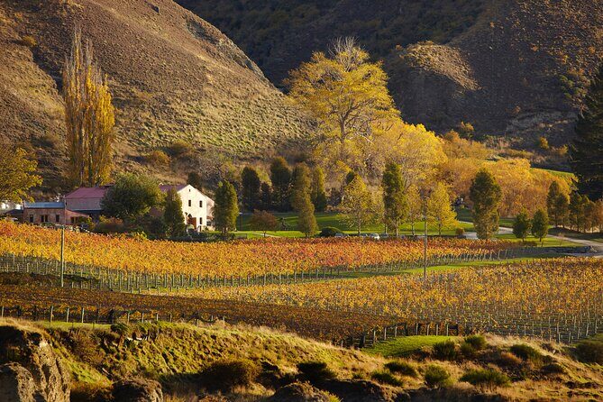Small Batch Private Wine Experience in Gibbston, Queenstown. - Exploring Queenstown’s Gateway to Wine: Gibbston Valley