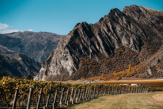 Small Batch Private Wine Experience in Gibbston, Queenstown. - The Sum Up: Who Should Consider This Tour?