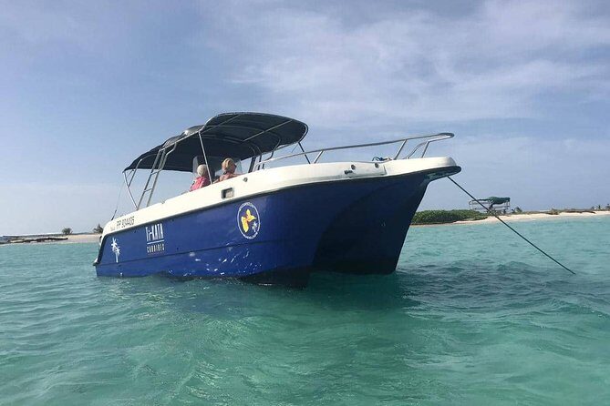 Small Day Cruise (Ilet caret, mangrove, coral reef - Introduction: Why This Tour Might Be Your Next Favorite