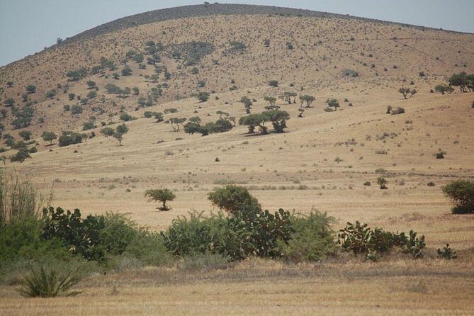 Small desert in 4x4 - Key Points
