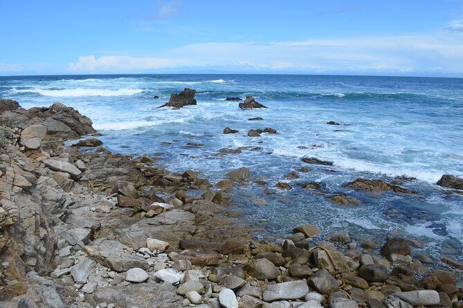 Small Group | 1 Day Tour Through Monterey From San Francisco - A Deep Dive into the Monterey Day Tour Experience