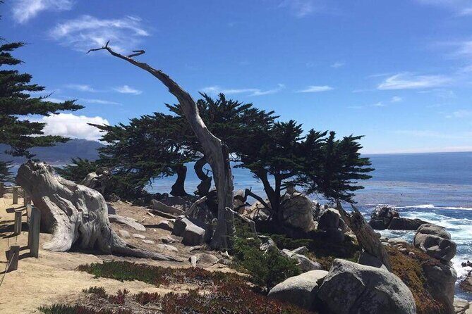 Small Group | 1 Day Tour Through Monterey From San Francisco - The Sum Up