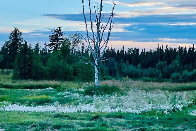 Small Group 18-hole Golf Experience in Fairbanks - The Experience: Playing Golf in Alaska’s Arctic Wilderness