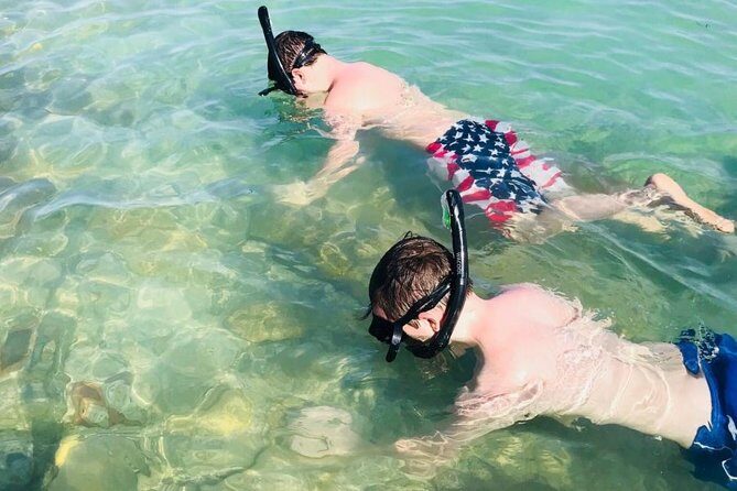 Small Group 2 Hour Dolphin Cruise with Snorkeling to Shell Key - What’s Included and Practical Details