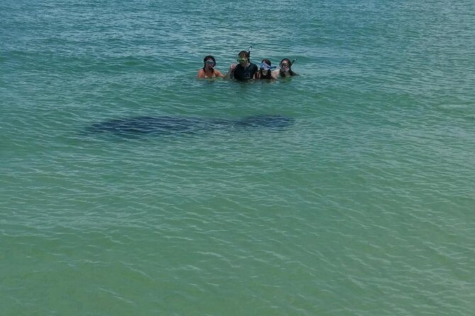 Small Group 2 Hour Dolphin Cruise with Snorkeling to Shell Key - Who Should Book This Tour?