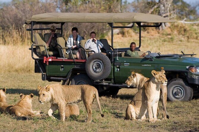 Small Group 3 Day Garden Route Adventure from Cape Town - Key Points