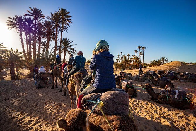 Small Group 3-Days Fez to Marrakech Desert Tour - Possible Drawbacks or Considerations