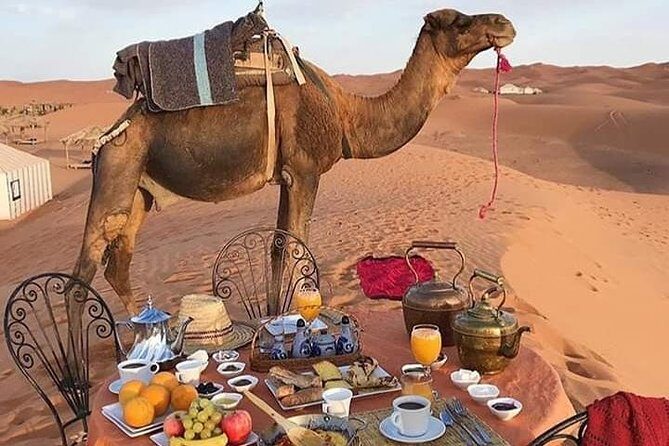 Small Group 3-Days Fez to Marrakech Desert Tour - Who Is This Tour Best For?