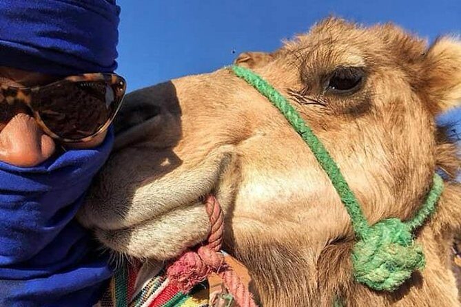 Small Group 3-Days Fez to Marrakech Desert Tour - FAQ
