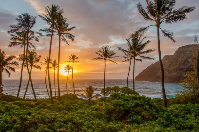 Small Group 3 Hour Honolulu Sunrise Tour with Malasadas - The Itinerary and What Makes Each Stop Special