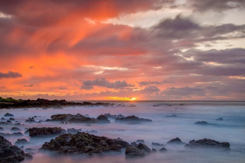 Small Group 3 Hour Honolulu Sunrise Tour with Malasadas - Authentic Reviews and Real Experiences