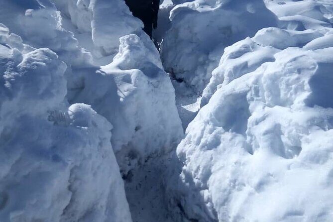 Small-group 7-day Lemosho Route Kilimanjaro Climb from Arusha - Who Should Consider This Tour?