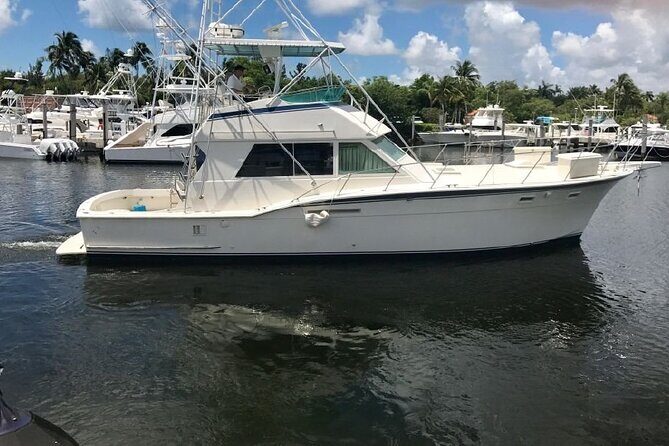 Small Group 7 Mile Beach Stingray City and Coral Gardens Tour - Who Should Book This Tour?