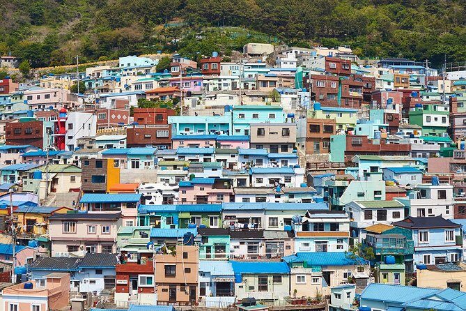Small Group 7D Korea package Tour with Seoul Gyeongju Busan Jeju - In-Depth Look at the Tour Experience