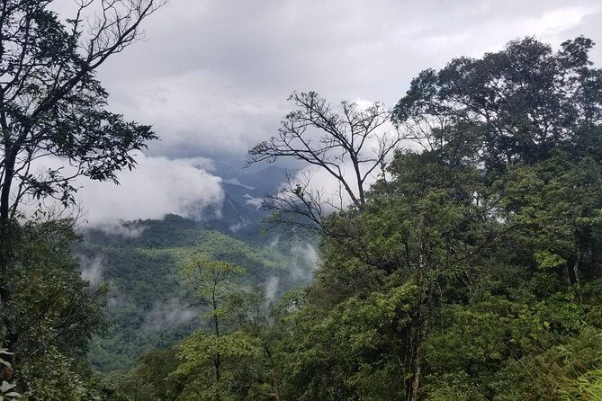 Small Group - Bach Ma National Park Trekking Tour From Hue - FAQ