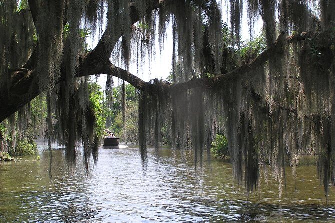 Small-Group Bayou Airboat Ride with Transport from New Orleans - Practical Tips for Travelers