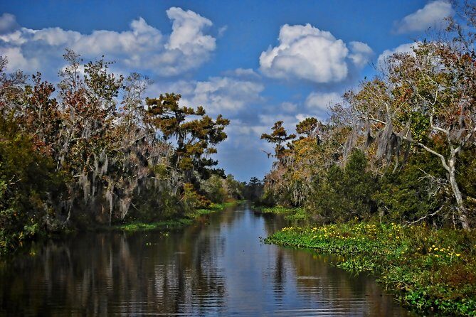 Small-Group Bayou Airboat Ride with Transport from New Orleans - The Sum Up
