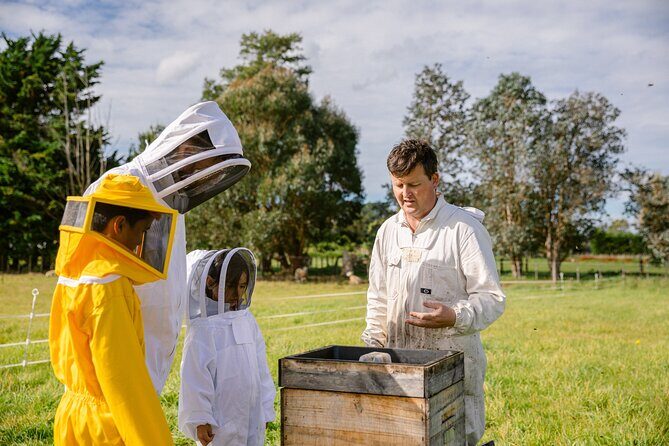Small-Group Beekeeping Experience in Tauherenikau - Why This Tour Offers Great Value