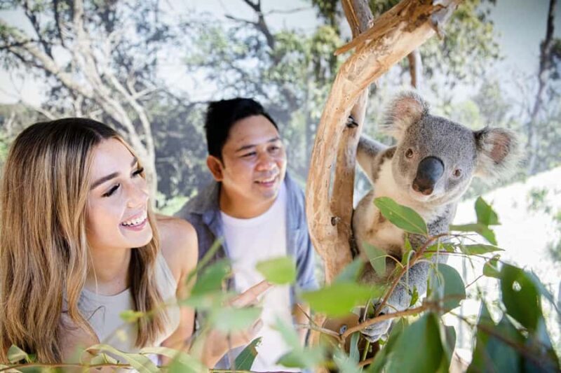 Small Group Blue Mountains, Wildlife & Scenic World Day Tour - Final Thoughts