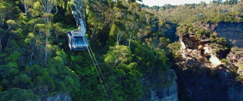 Small Group Blue Mountains, Wildlife & Scenic World Day Tour - FAQ