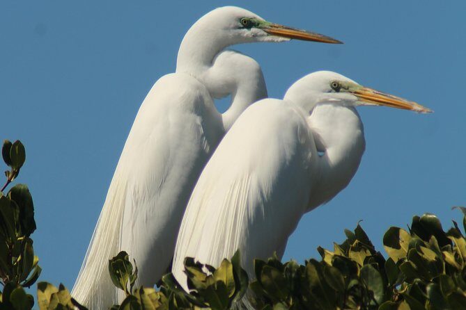 Small Group Boat, Kayak and Walking Guided Eco Tour Everglades - Frequently Asked Questions