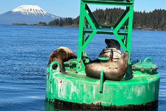 Small Group Boat Tour of Sitka - Final Thoughts: Who Should Book This Tour?