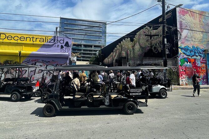 Small-Group Brewery Golf Cart Tour of Wynwood with a Local Guide - An In-Depth Look at the Wynwood Golf Cart Tour