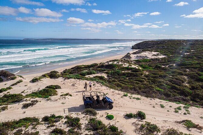 Small-Group Buggy Tour at Little Sahara with Guide - Small-Group Buggy Tour at Little Sahara with Guide: An Authentic Escape into Kangaroo Island’s Wilderness