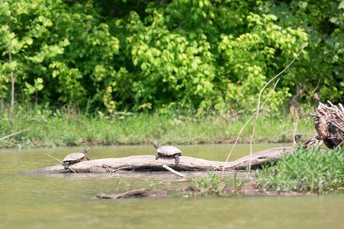 Small Group Clear Kayak Tour of Old Hickory Lake - The Sum Up: Who Should Consider This Tour?