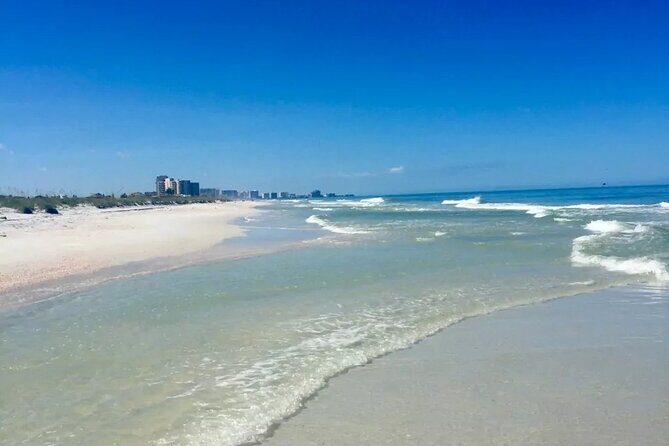 Small Group Clearwater Beach, Dolphin Watch Day Tour from Orlando - What to Expect from the Tour