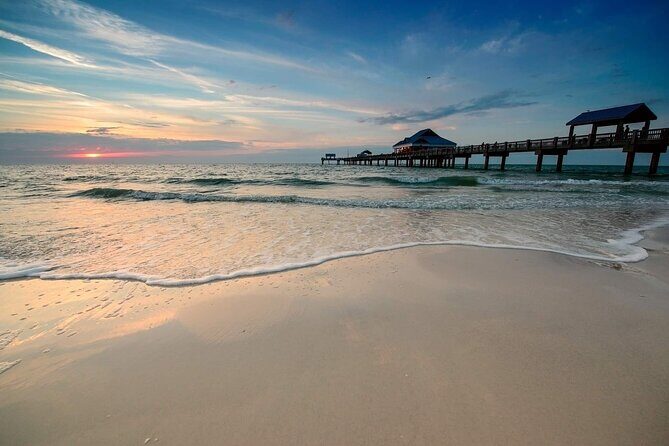 Small Group Clearwater Beach, Dolphin Watch Day Tour from Orlando - The Transportation and Group Size