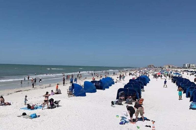 Small Group Clearwater Beach,Dolphin Watch Tour from Orlando - Key Points