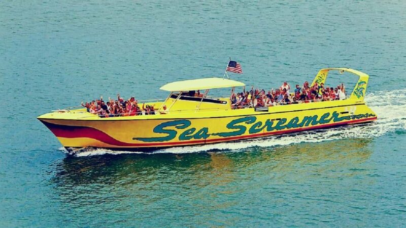 Small Group Clearwater Beach,Dolphin Watch Tour from Orlando - A Detailed Look at the Tour Experience