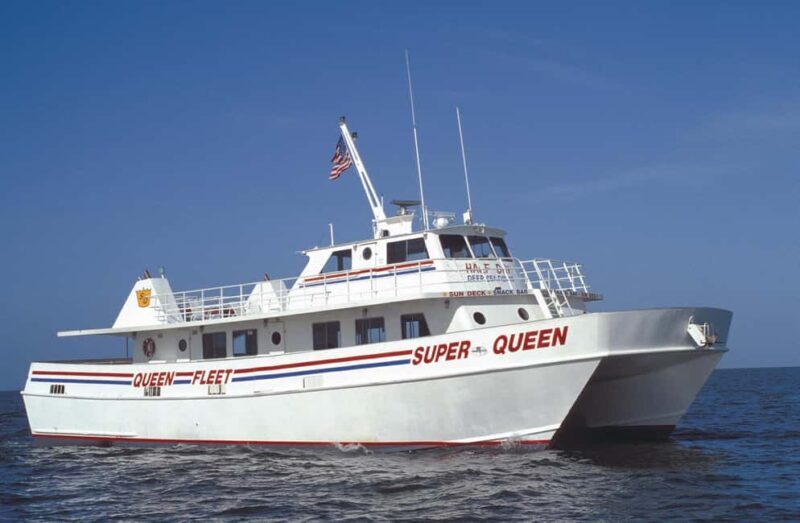 Small Group Clearwater Beach,Dolphin Watch Tour from Orlando - What Real Travelers Say