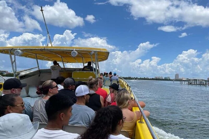 Small Group Clearwater Beach,Dolphin Watch Tour from Orlando - Who Will Love This Tour?
