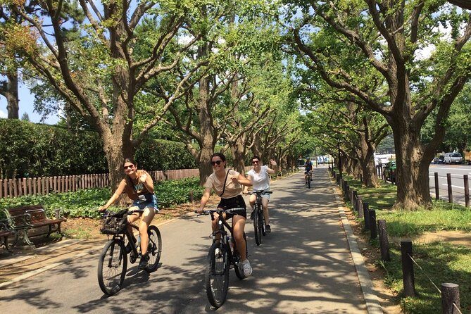 Small Group Cycling Tour in Tokyo - Who Should Book This Tour?