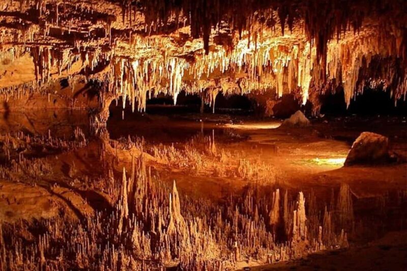 Small-Group D.C. Day Trip to Shenandoah Park & Luray Cavern - Key Points
