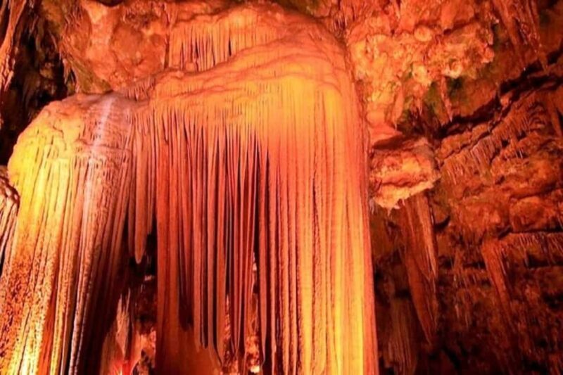 Small-Group D.C. Day Trip to Shenandoah Park & Luray Cavern - The Value of the Tour