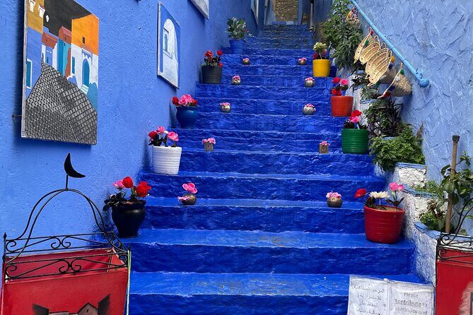 Small Group Day Tour from Fes To Chefchaouen - Key Points