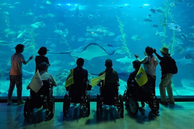 Small Group Day Tour in West Jeju Healing Island - Lava Tubes and End-of-Day Reflection