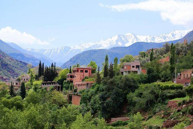 Small Group Day Tour to Ourika Valley from Marrakech - Key Points