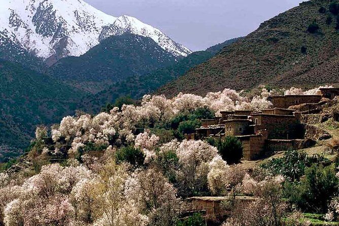 Small Group Day Tour to Ourika Valley from Marrakech - Why This Tour Offers Great Value