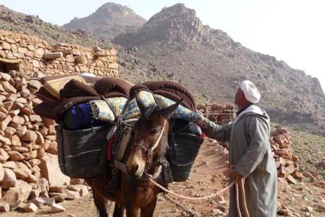 Small Group Day Tour to Ourika Valley from Marrakech - Who Should Consider This Tour?