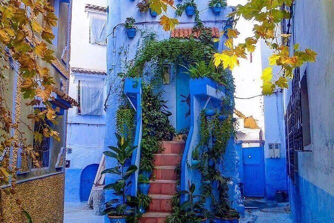 Small Group Day Trip to Chefchaouen from Fez - Who Should Consider This Tour?
