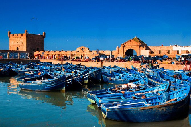 Small-group Day Trip to Essaouira from Marrakech - Key Points