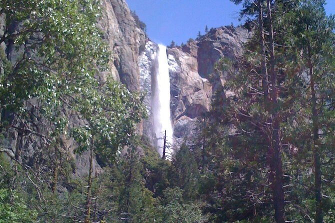 Small-Group Day Trip to Yosemite from Lake Tahoe - The Sum Up