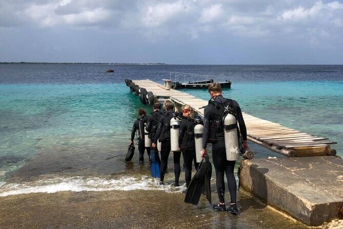 Small Group Diving experience in Caribbean - Key Points